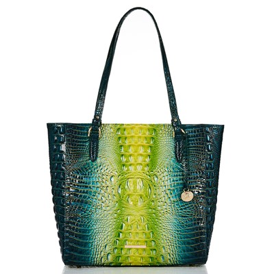 Brahmin April Women's Business Bags Green | DTB340826