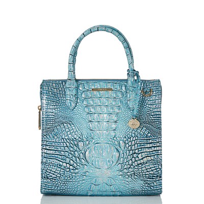 Brahmin Caroline Women's Business Bags Blue | POT690174