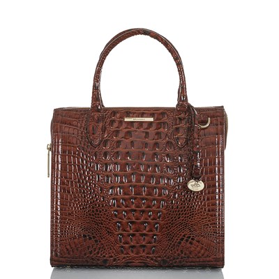 Brahmin Caroline Women's Business Bags Brown | QWR578604