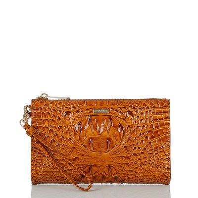 Brahmin Daisy Women's Clutch Bags Brown | TJE209716