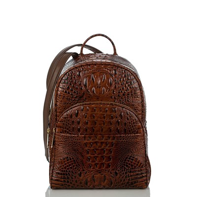 Brahmin Dartmouth Men's Business Bags Brown | ULG312694