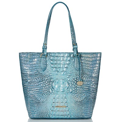 Brahmin Ellen Women's Business Bags Blue | QOW437512