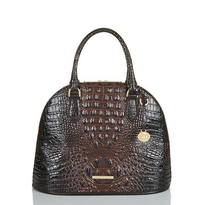 Brahmin Georgina Women's Satchel Bags Brown | CUX512973