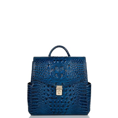 Brahmin Liz Women's Backpacks Blue | RTP836297