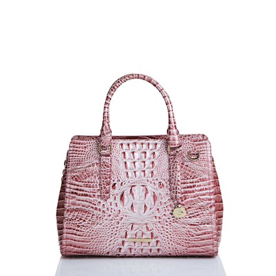 Brahmin Small Finley Women's Business Bags Pink | QLB856739