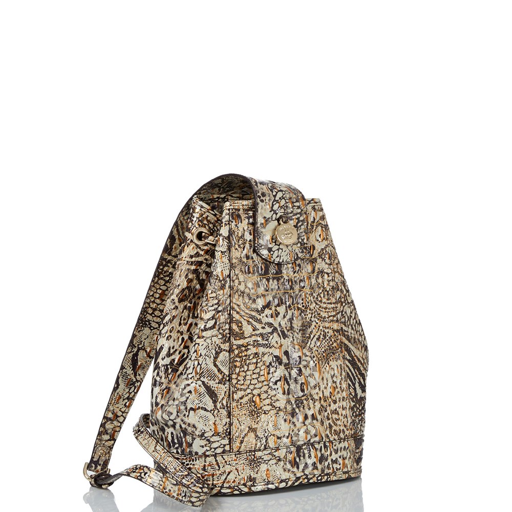 Brahmin Allie Women's Backpacks Brown | PZG021687