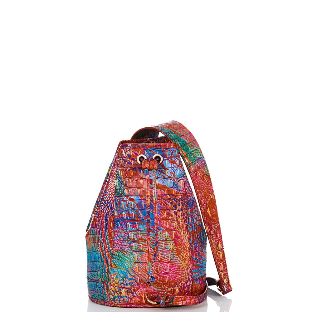 Brahmin Allie Women's Bucket Bags Multicolor | WHC063524