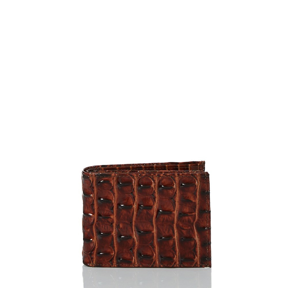 Brahmin Bifold Men\'s Wallets Brown | ISL371925