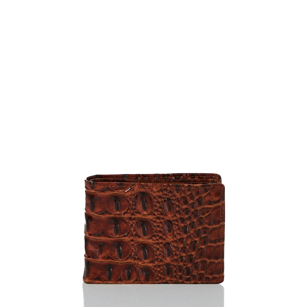 Brahmin Billfold Men\'s Wallets Brown | CEK159037