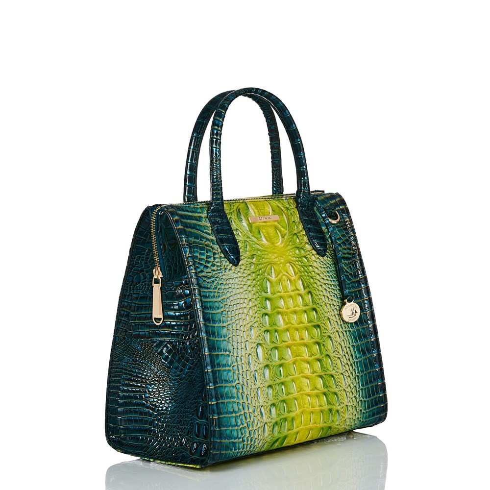 Brahmin Caroline Women's Business Bags Green | KED793125