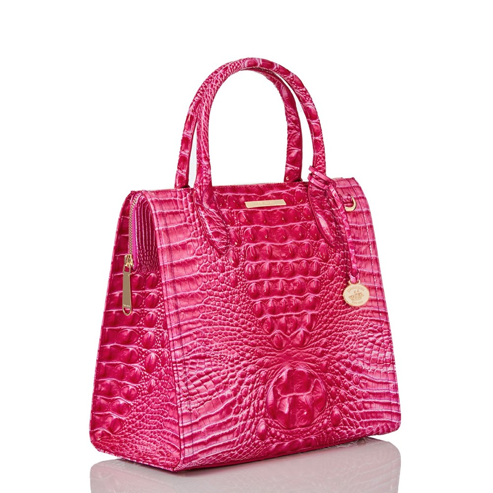 Brahmin Caroline Women's Business Bags Pink | RGS624915