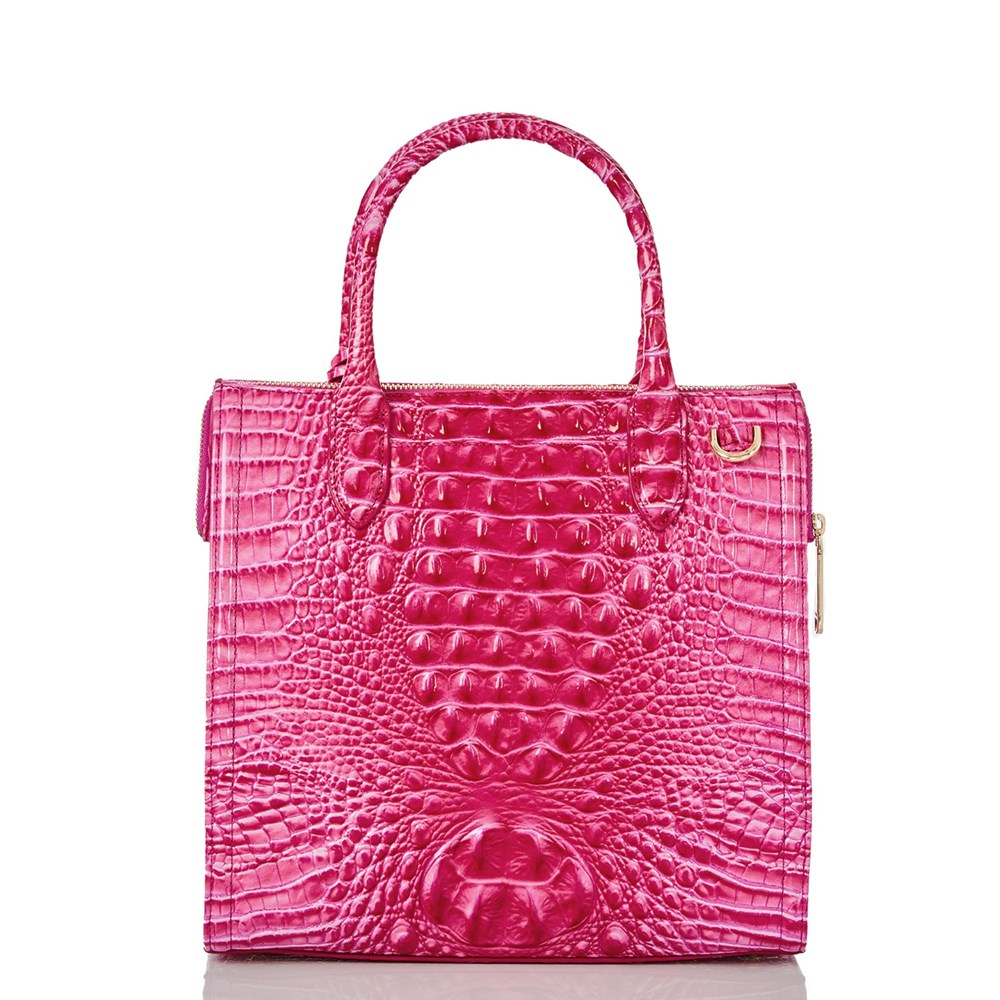 Brahmin Caroline Women's Business Bags Pink | RGS624915