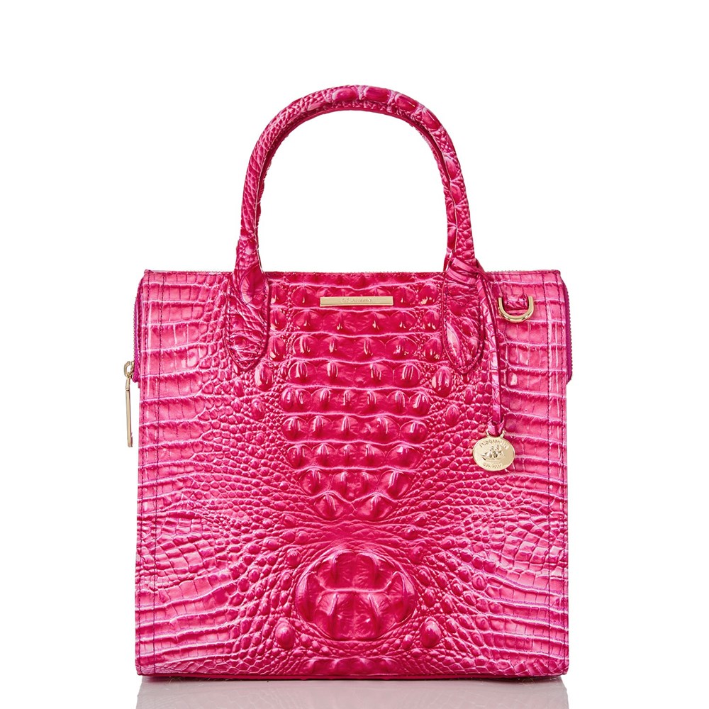 Brahmin Caroline Women\'s Business Bags Pink | RGS624915