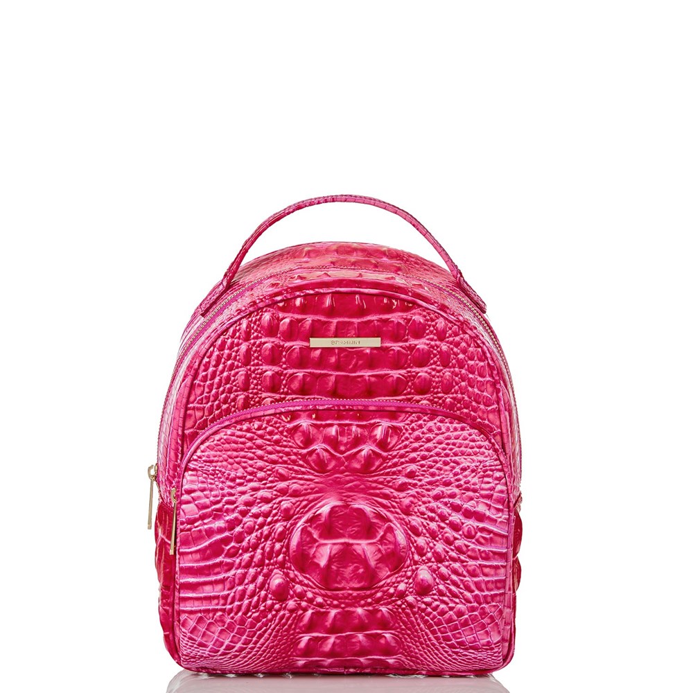 Brahmin Chelcy Women\'s Backpacks Pink | CWF726184