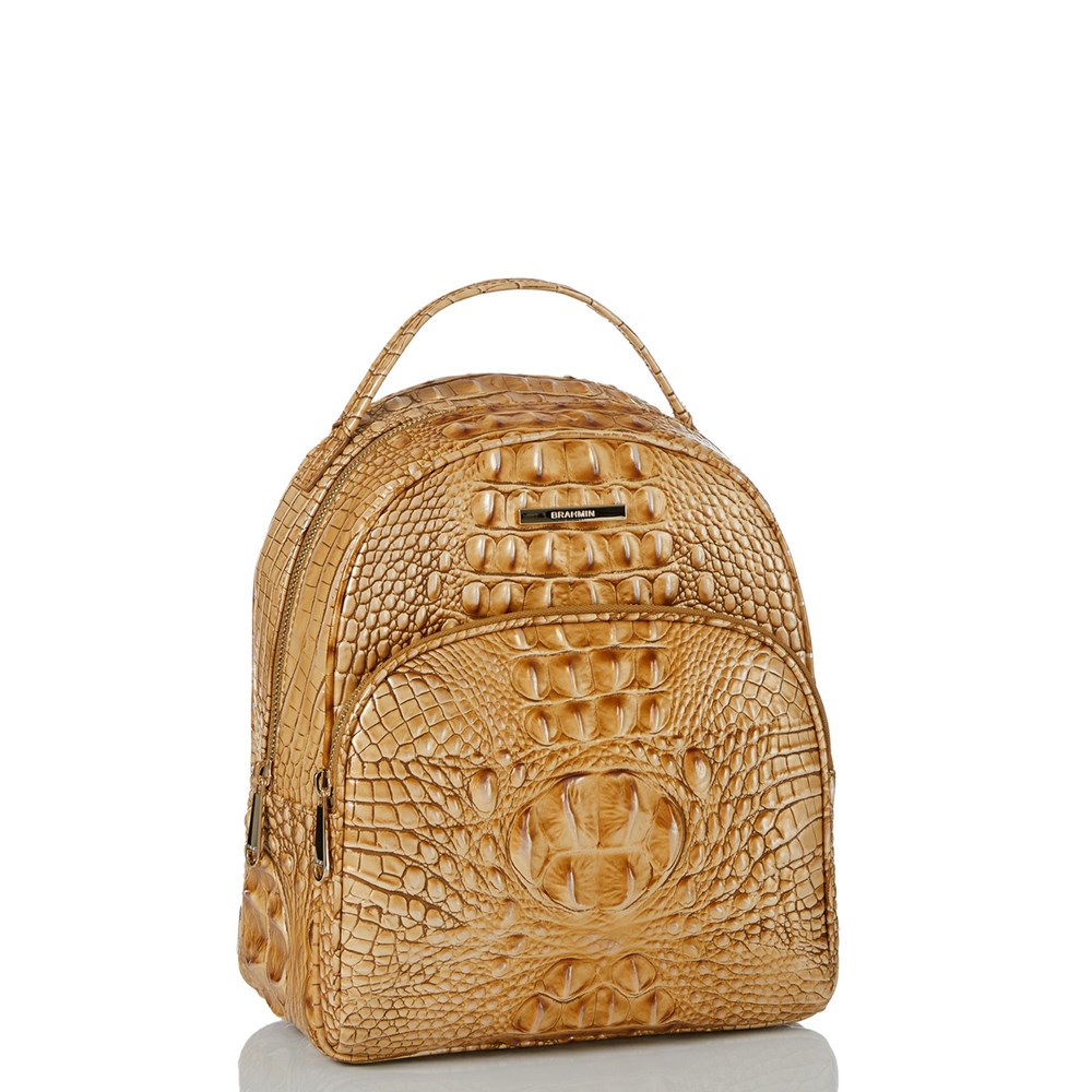 Brahmin Chelcy Women's Business Bags Brown | VMD381956