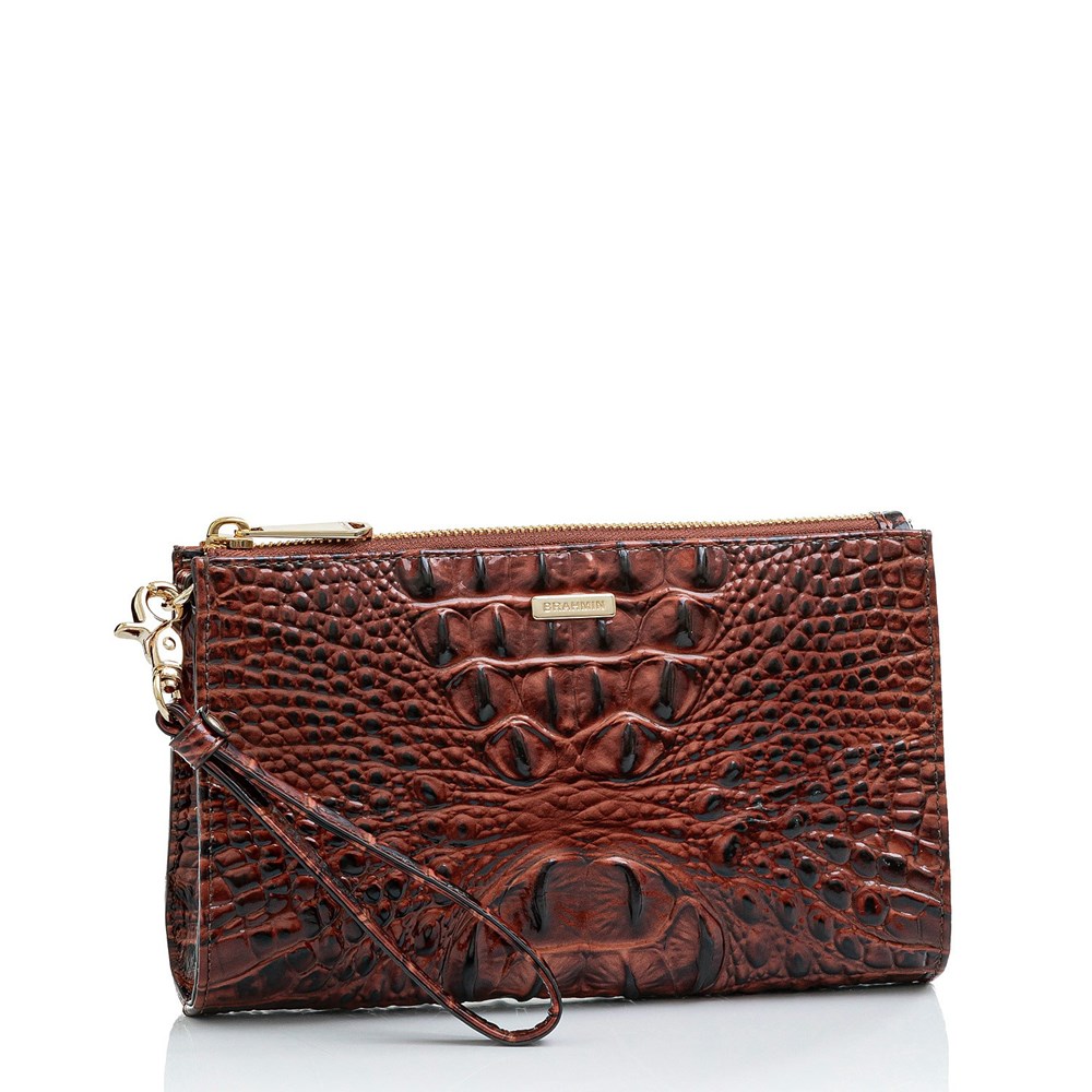 Brahmin Daisy Women's Clutch Bags Brown | JVS180567