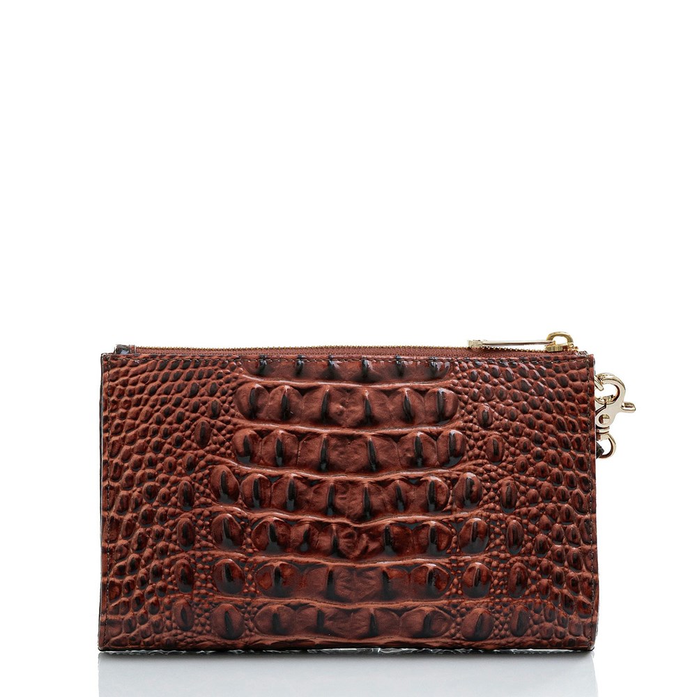 Brahmin Daisy Women's Clutch Bags Brown | JVS180567