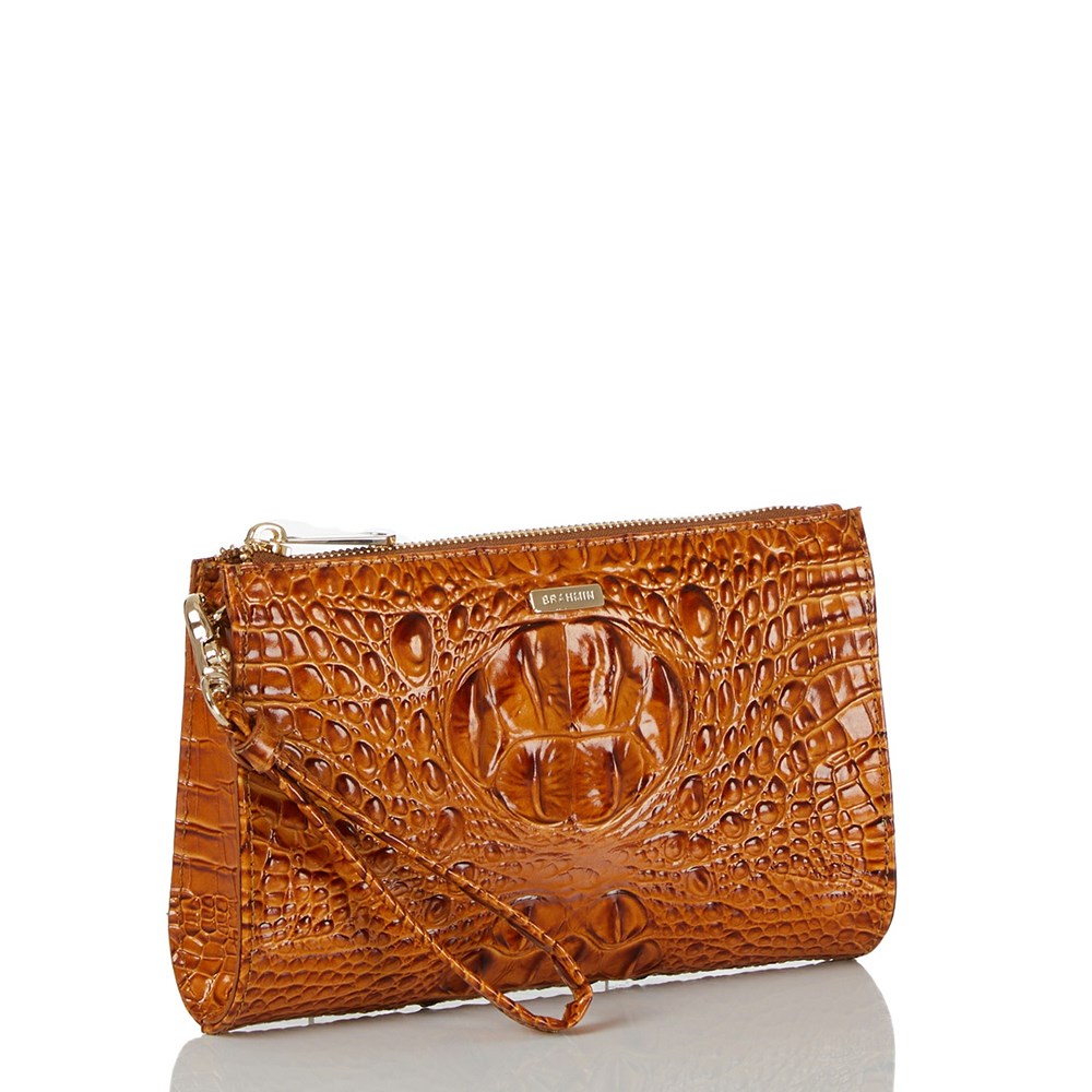 Brahmin Daisy Women's Clutch Bags Brown | TJE209716