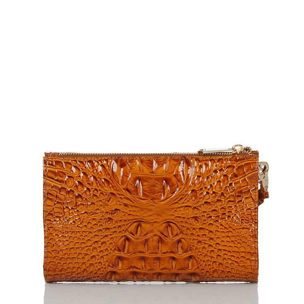 Brahmin Daisy Women's Clutch Bags Brown | TJE209716