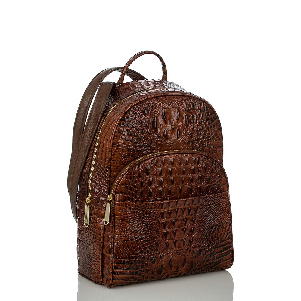 Brahmin Dartmouth Men's Backpacks Brown | CYR143509