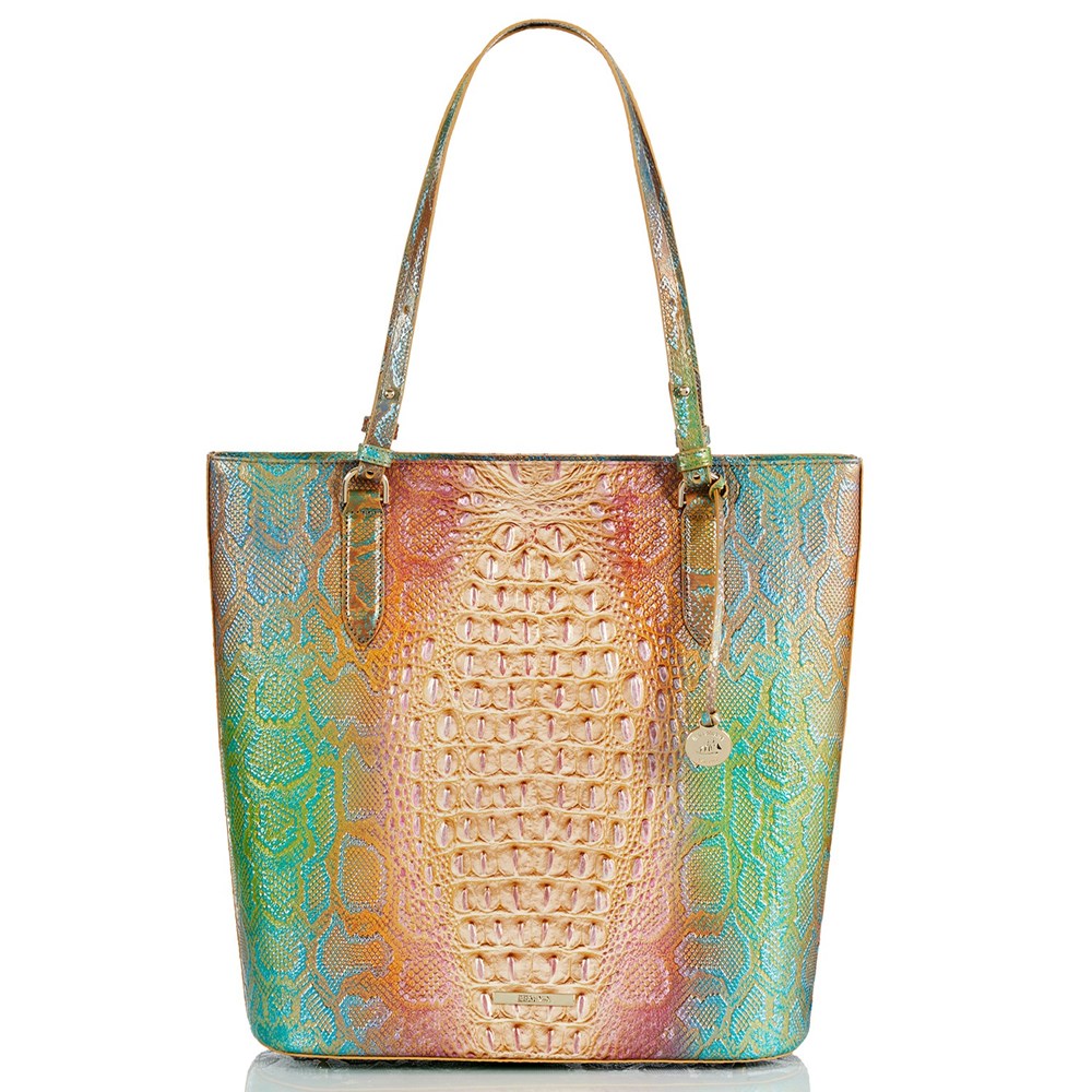 Brahmin Ezra Women\'s Tote Bags Multicolor | LPG426985