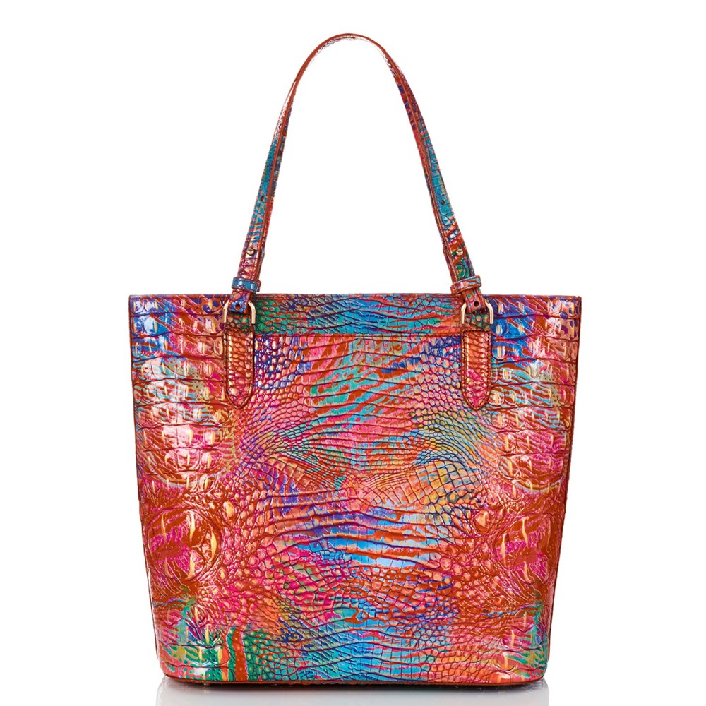 Brahmin Ezra Women's Tote Bags Multicolor | YAK571923