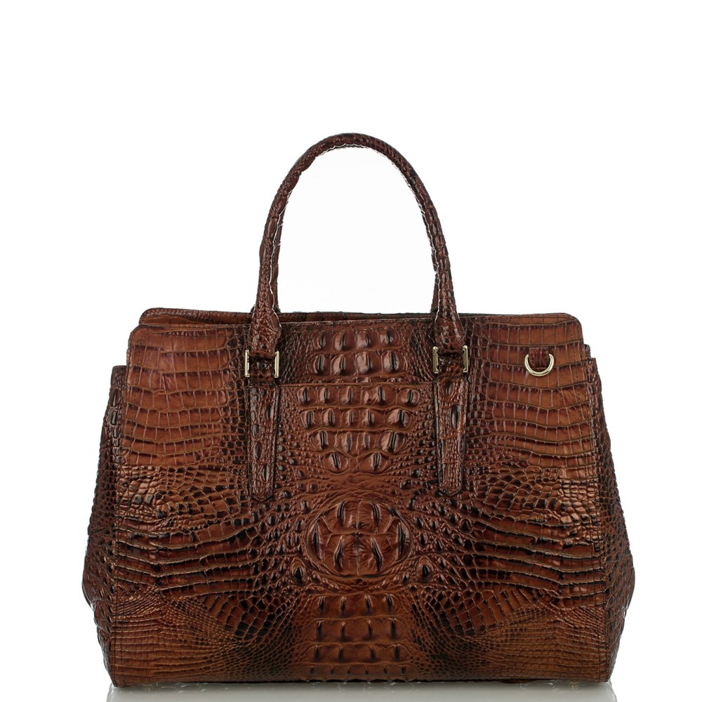 Brahmin Finley Carryall Women's Business Bags Brown | JUI052146