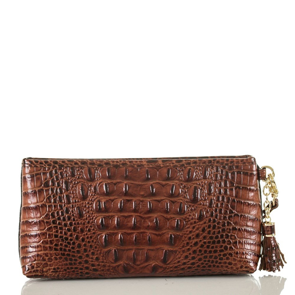 Brahmin Kayla Women's Clutch Bags Brown | VBZ125396