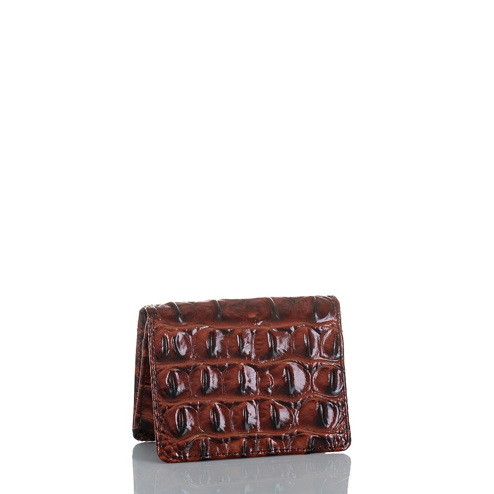 Brahmin Leo Men's Wallets Brown | RYV935724