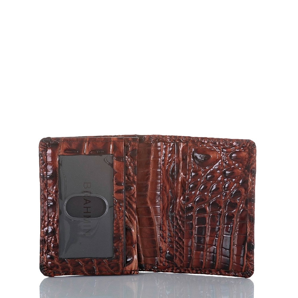 Brahmin Leo Men's Wallets Brown | RYV935724