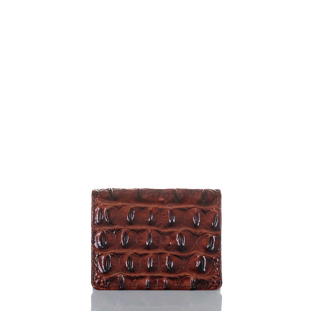 Brahmin Leo Men\'s Wallets Brown | RYV935724