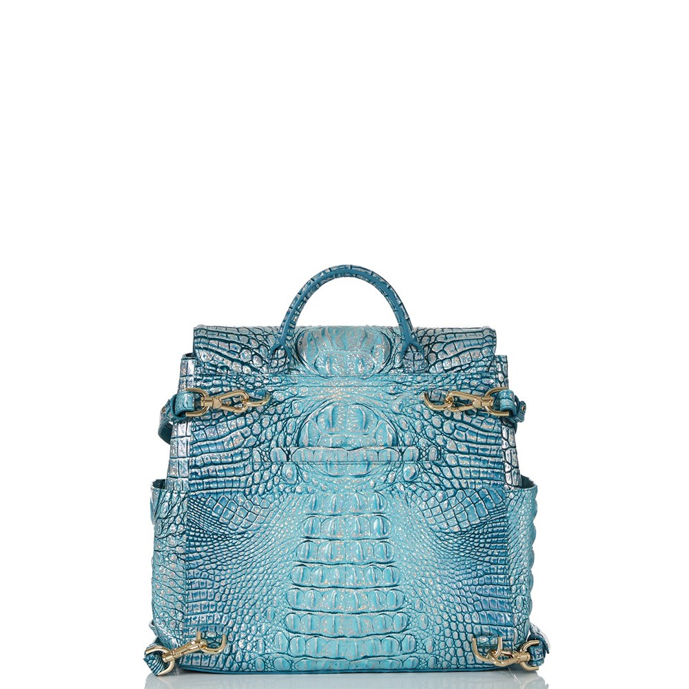 Brahmin Liz Women's Backpacks Blue | XWK481620