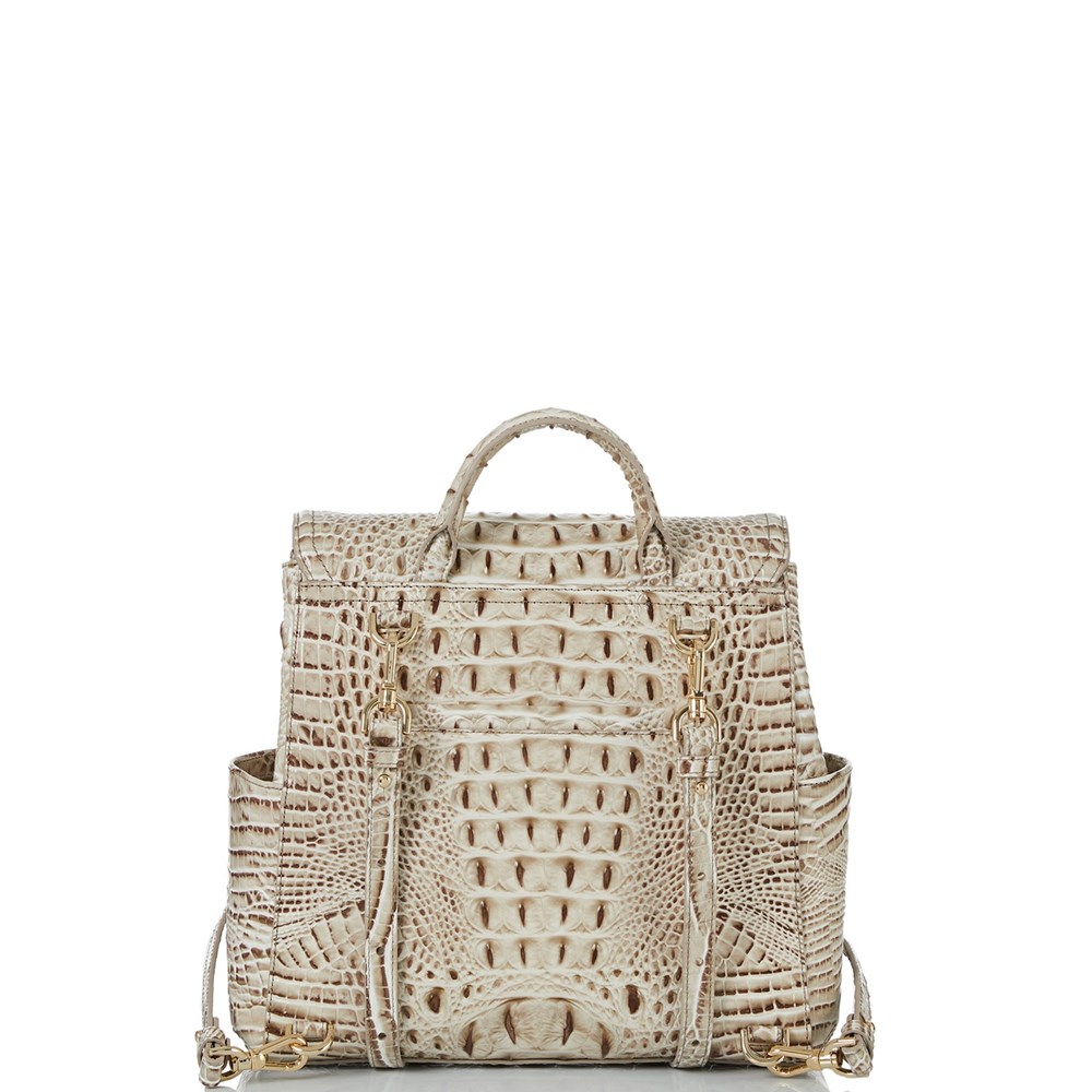 Brahmin Liz Women's Backpacks Grey | KYT128504