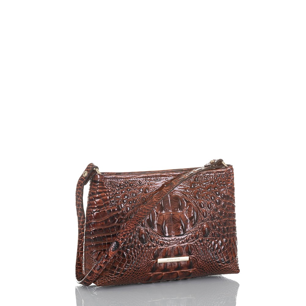 Brahmin Lorelei Women's Shoulder & Hobo Bags Brown | MFS238460