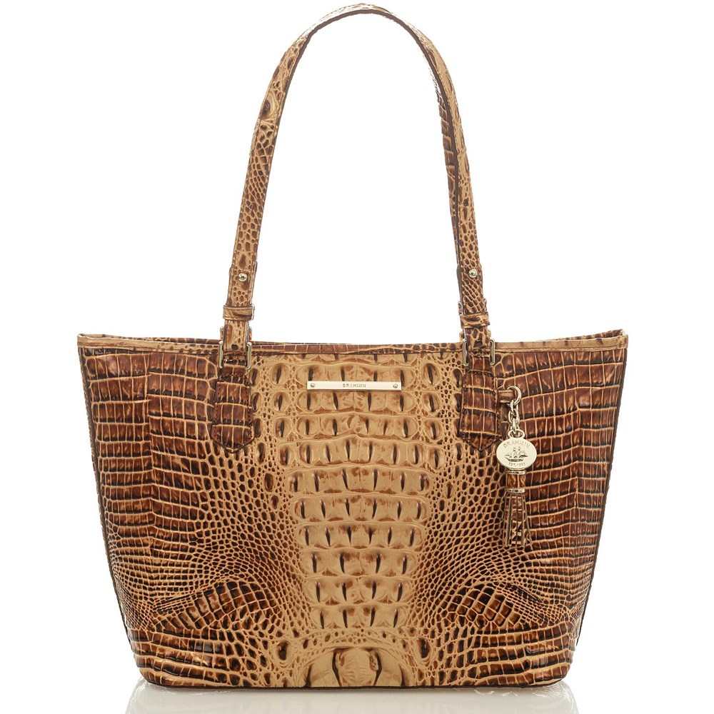 Brahmin Medium Asher Women\'s Tote Bags Brown | BVL987514