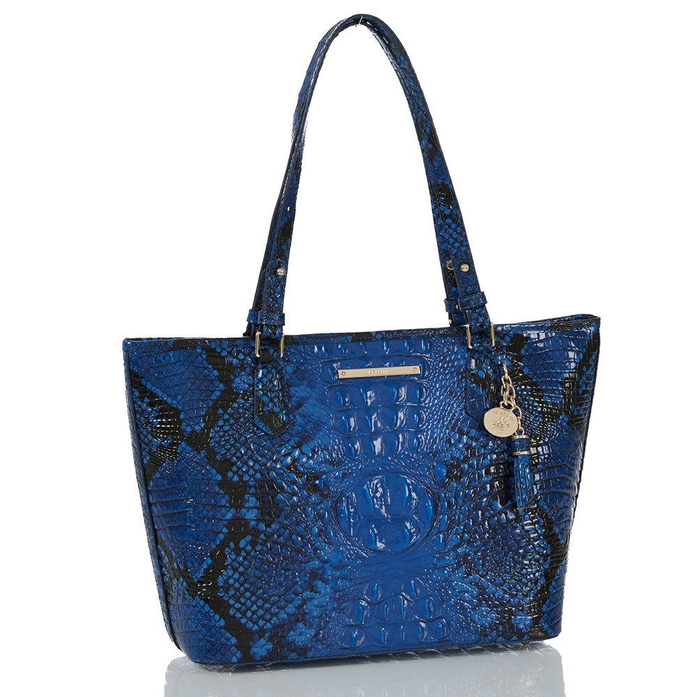 Brahmin Medium Asher Women's Tote Bags Blue | XKI061497