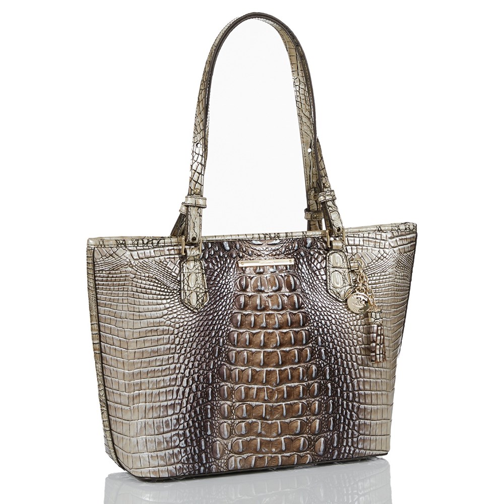 Brahmin Medium Asher Women's Tote Bags Grey | CBF964781