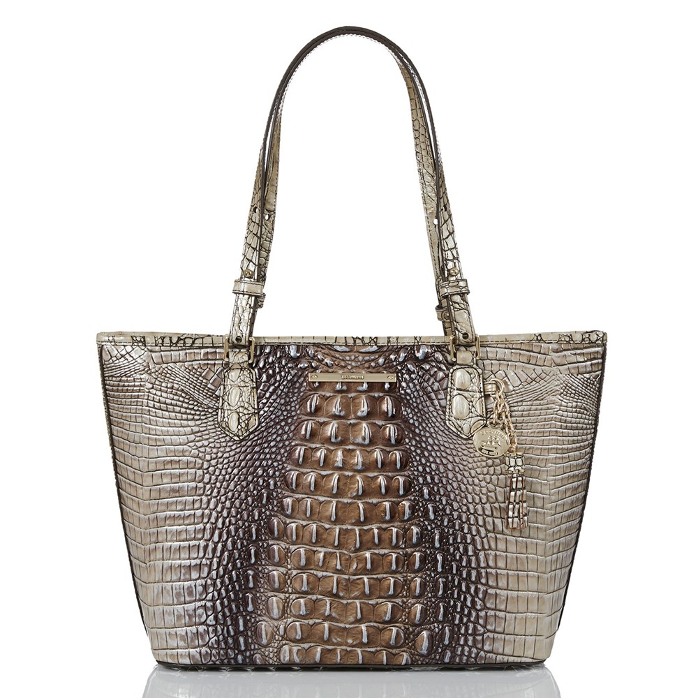 Brahmin Medium Asher Women\'s Tote Bags Grey | CBF964781