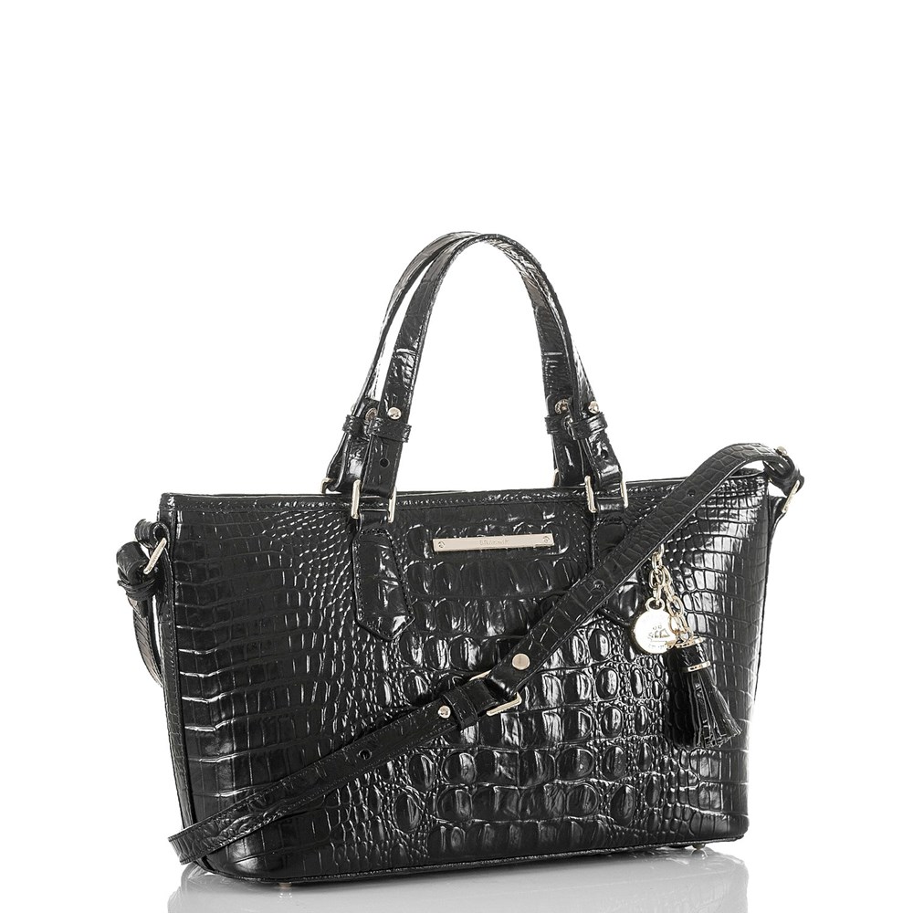 Brahmin Mini Asher Women's Satchel Bags Black | COP905124