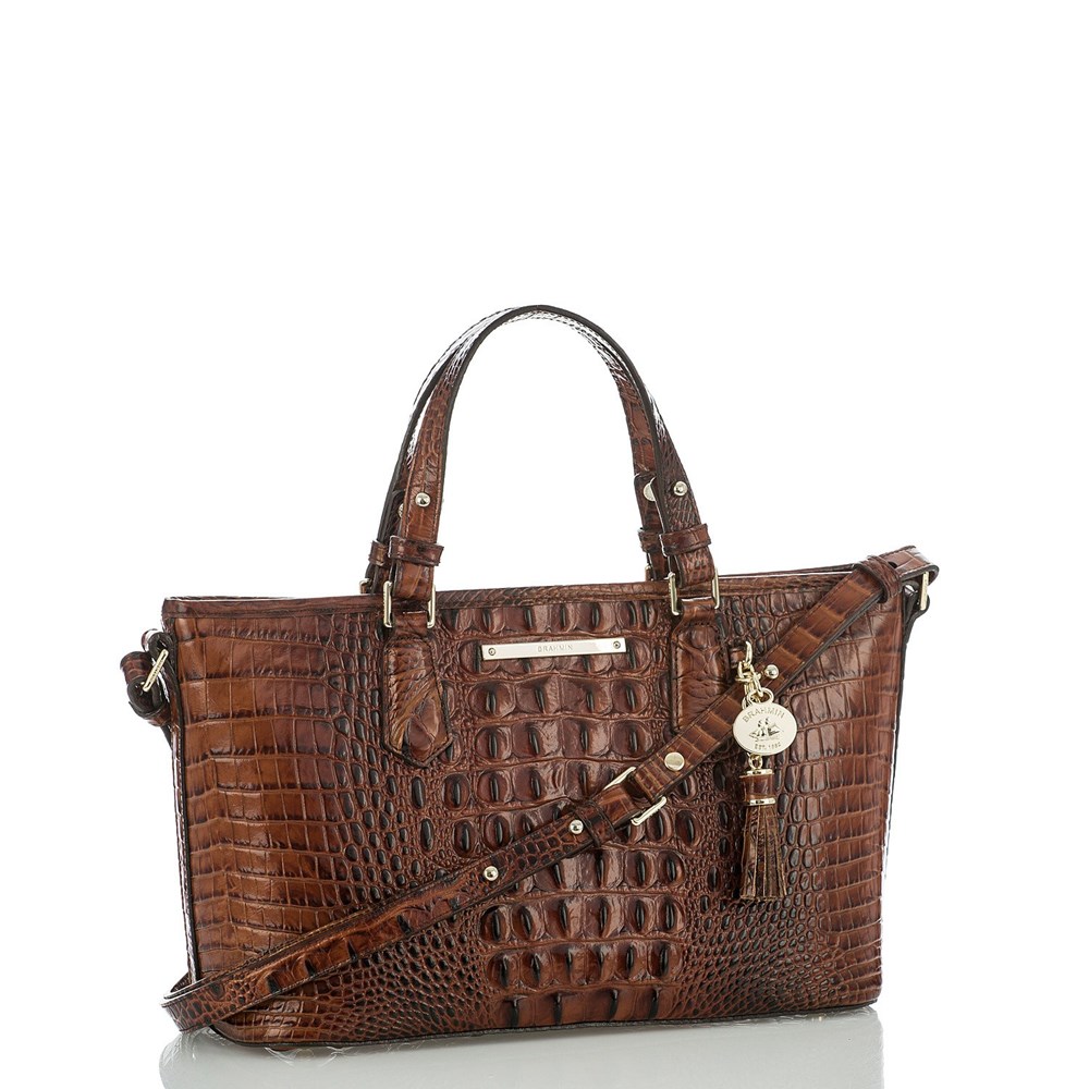 Brahmin Mini Asher Women's Satchel Bags Brown | WMQ351094