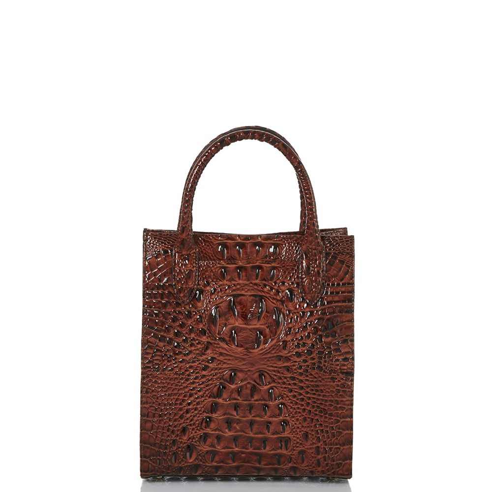 Brahmin Moira Women's Tote Bags Brown | ESV638519