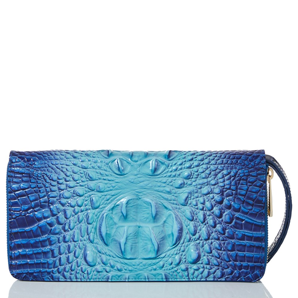 Brahmin Skyler Women's Clutch Bags Blue | QTX278539