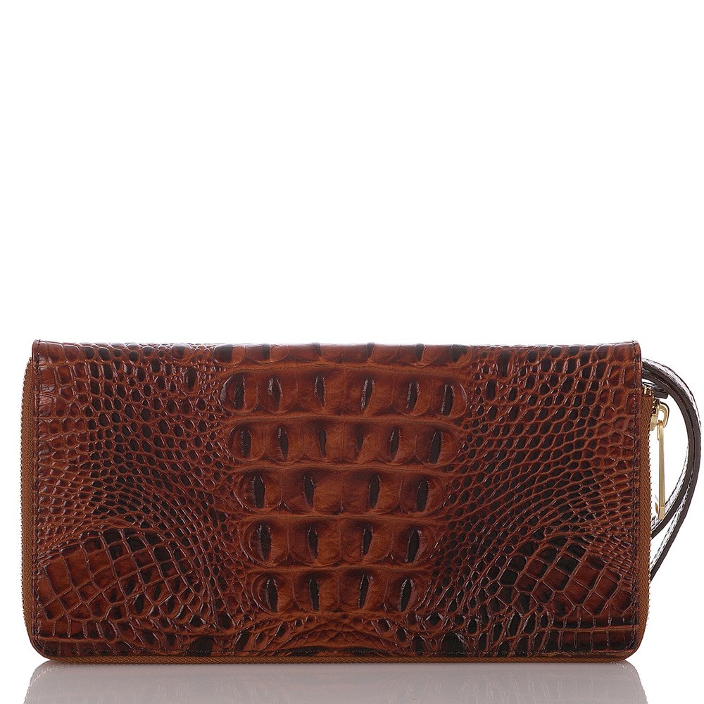 Brahmin Skyler Women's Clutch Bags Brown | VRJ105893