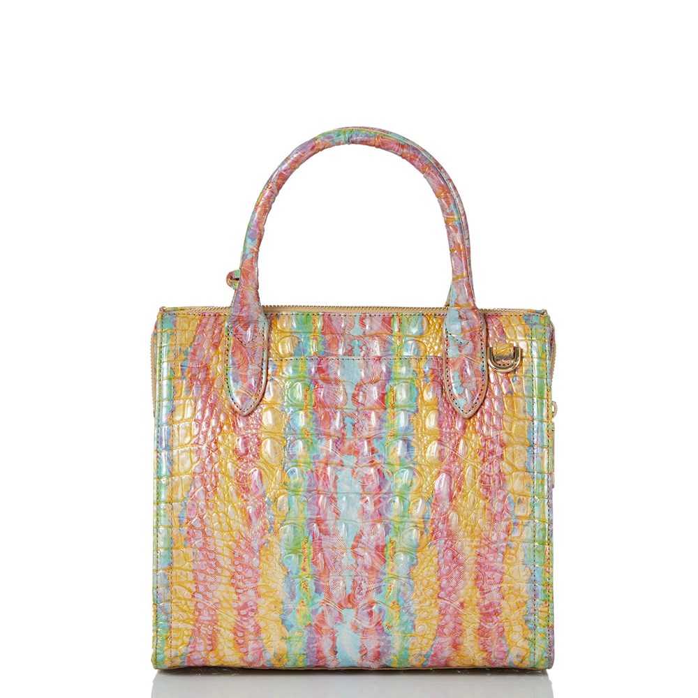 Brahmin Small Caroline Women's Satchel Bags Multicolor | IDC432801